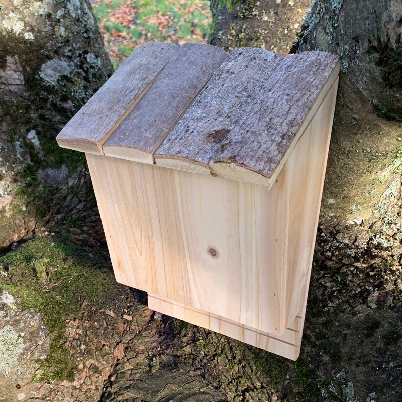 Izaguirre Mounted Bat House