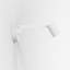Ascoli 1 - Light Spotlight-447095883
