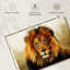 «Blue Eyed Lion», reproduction sur toile-2002425888