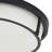 2-Lamp Black Dimmable Glass Iron Industrial Ceiling Light