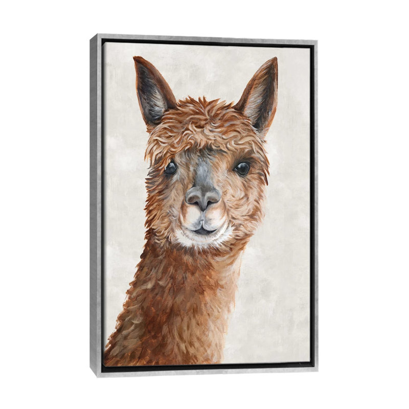 «Suri Alpaca II» par Eva Watts - reproduction d'art, Aucun mat, Toile avec cadre argenté, H 60 po x l 40po x P 1,5 po