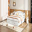 Upholstered 79.9 " Sofa-70505266