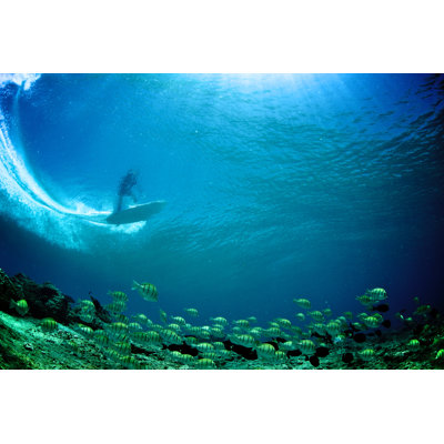 Underwater View by Richinpit