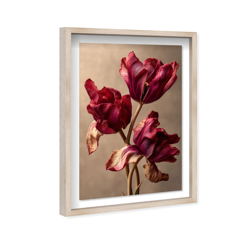 Dark Silk Remains Print by Oliver Gal, 31.5"H x 46.5"W, Natural Oak Shadowbox