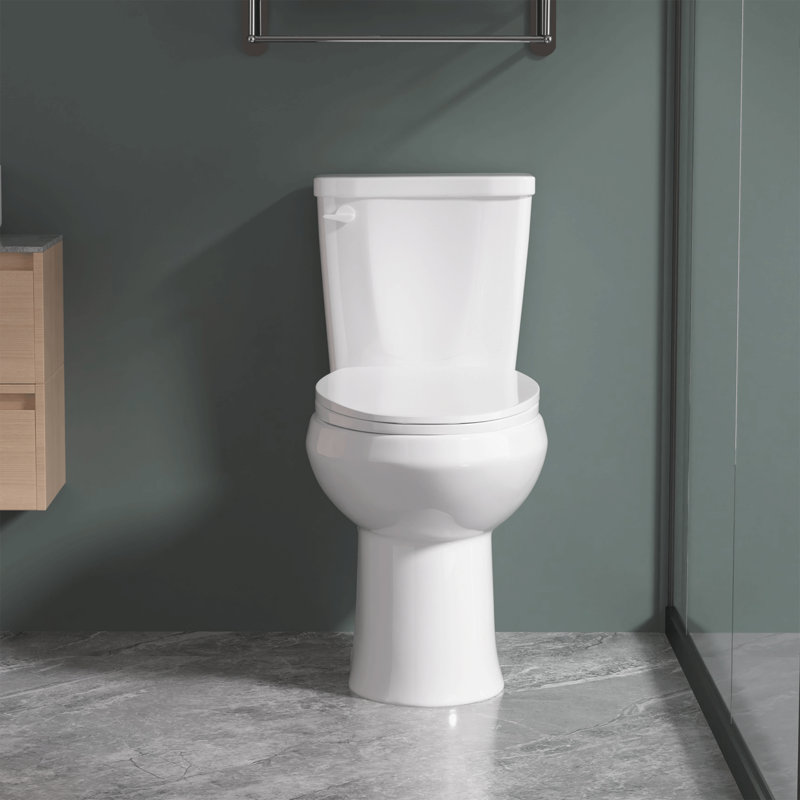 17" ADA Height 2-Piece Toilet 1.0 GPF Single Flush Elongated with Soft-Close Seat