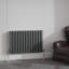 Ipolitas Double Panel D Shape Horizontal Designer Radiator-987248036-987248058
