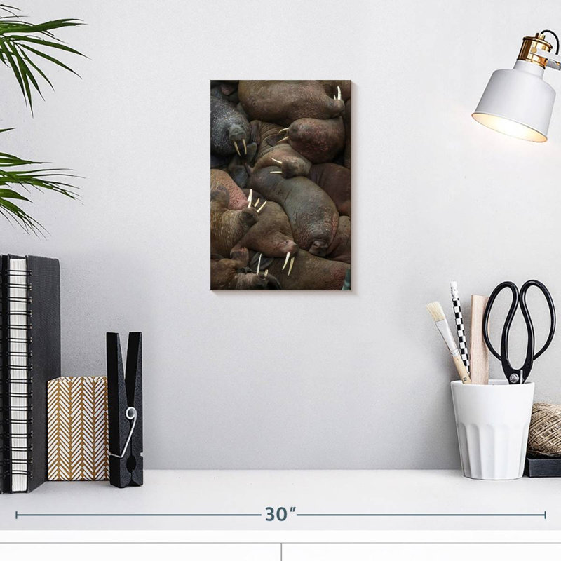 Brampt Walrus Rookery, 12" H x 8" W