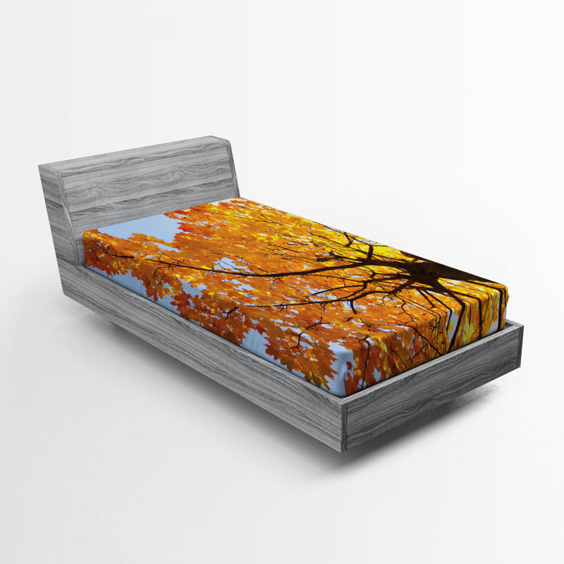 Drap-housse pour feuilles, Drap-housse simple TG