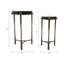 Table d'appoint Everly Quinn 2 pièces Adonia-106720823