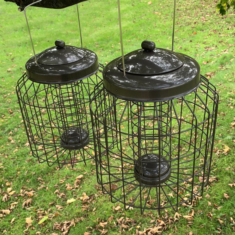Filippo Metal Hanging Suet Bird Feeder