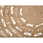 Round Gerace Jute / Sisal Hand Woven 140cm X 140cm Area Rug