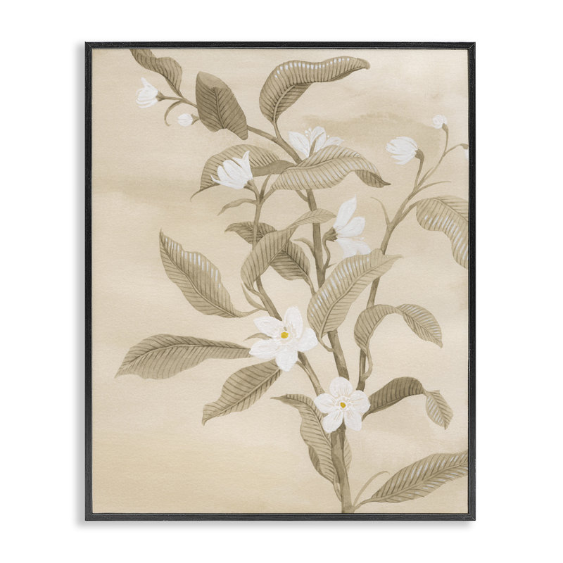  Jonquilles neutres, estampe numérique par Grace Popp, H 14 po x l 11 po, Giclée encadrée noir minuit