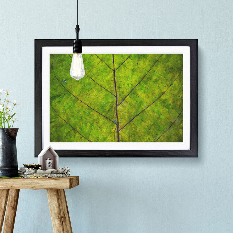 Lines of the Leaf - Picture Frame Graphic Art Print, 33cm H x 45cm W x 2cm D, Black Framed