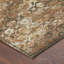 Tapis moderne intérieur / extérieur lavable à la machine Chantille ACN2786-1740609164-1740609207