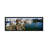 " Fishing Boats At A Dock, Fisherman's Wharf, San Francisco, California, USA " by Panoramic Images-71973168-19977031