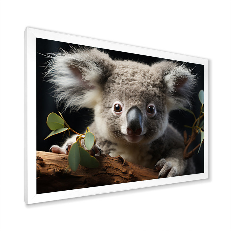 Koala Portrait I sur impression sur toile, Cadre simple blanc, H 34 po x l 44 po x P 1,5 po
