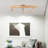 Khizra Acrylic Semi Flush Mount