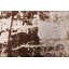 Tapis ivoire Daan-36208459