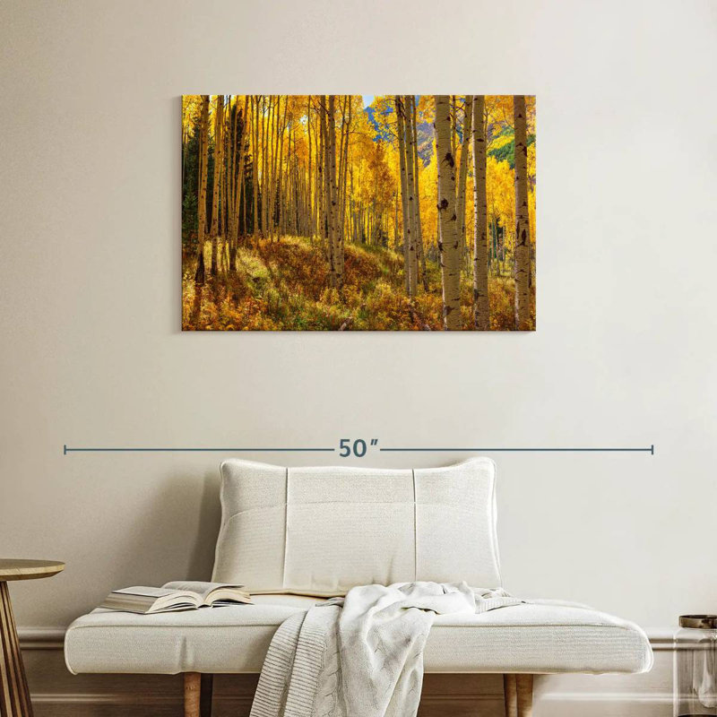 Autumn Aspen Forest, Colorado, États-Unis, H 24 po x l 36 po