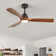 Karlena 52'' Ceiling Fan with LED Lights and Remote Control