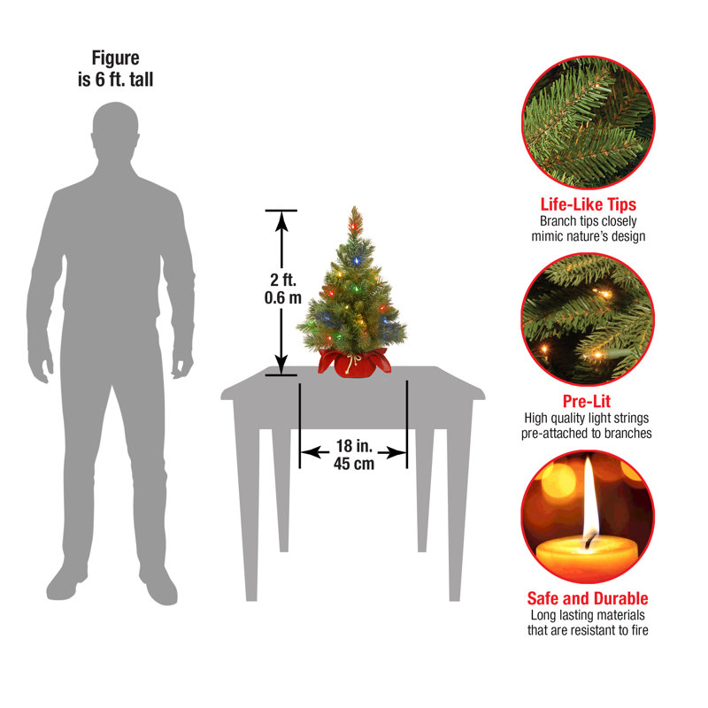 2ft. Majestic Fir Tree, Red Base with Multicolor LED Lights