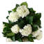Faux Plant in Pot Liner-93266720-93266718