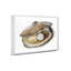 Oyster 3-41751053-41751055