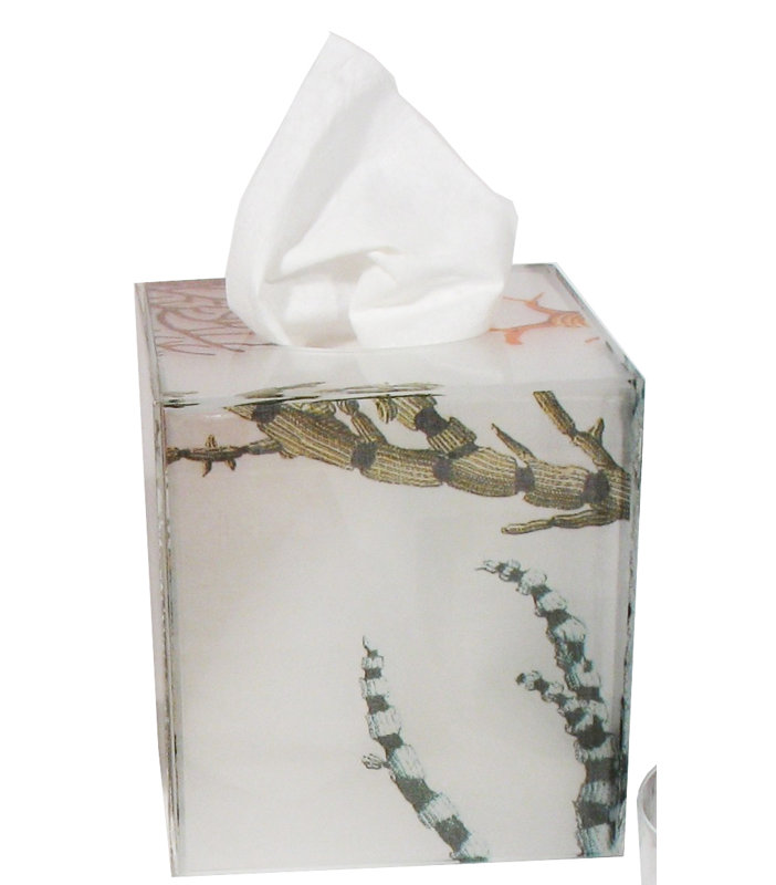 Neptune Tissue Holder