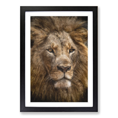 Face of a Lion - Framed Print