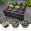 Ensemble de lit de jardin surélevé (2 lits, 1 enceinte)