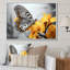 Papillon jaune et jaune Haven II - art mural papillon-1783522258-1782716444