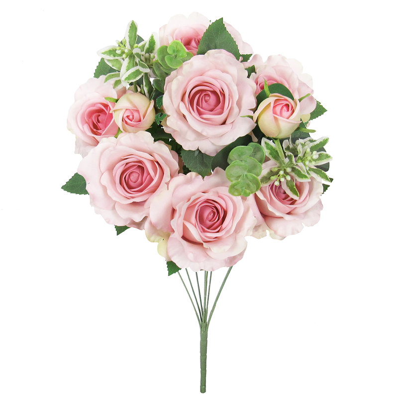 Rosier, Rose clair