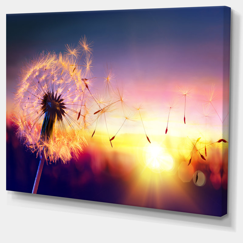 «Dandelion at Sunset Freedom to Wish», impression sur toile tendue, H 20 po x l 20 po x P 1 po