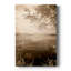 Peaceful Morning II -Gallery Wraraped Cavas-546719386