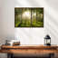 Birch Forest Sunlight-1269280478-1269280454