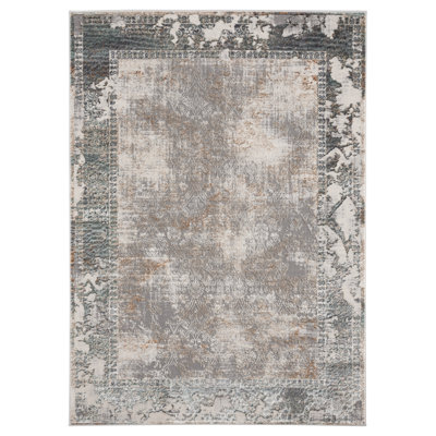 Armaun Oriental Indoor Rug
