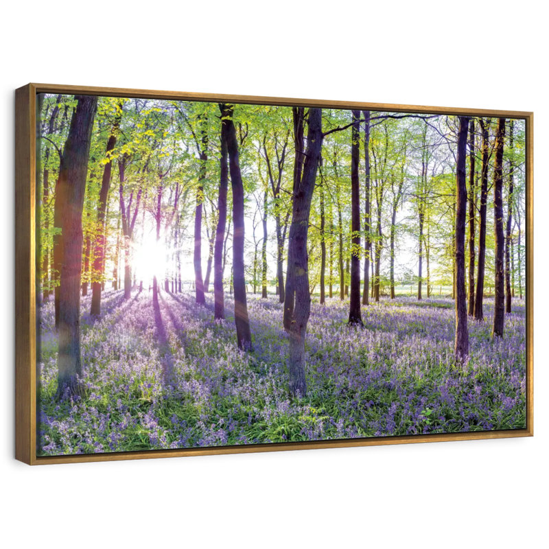 Bluebells and sunrise, Cadre flottant doré, 37 po x 25 po
