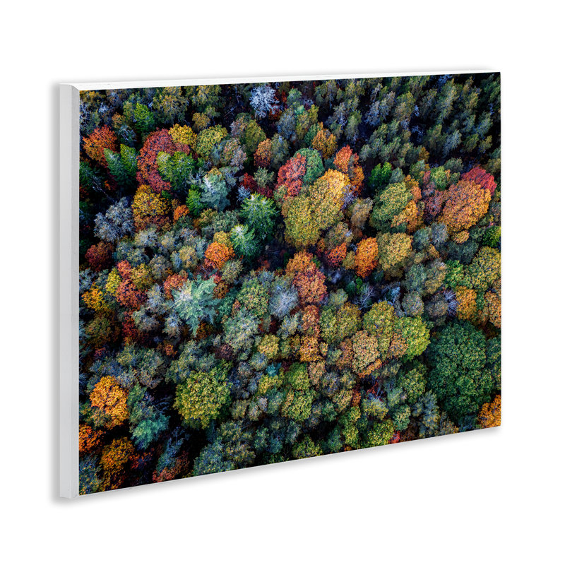 Art mural sur plaque, feuillage automnal par Rick Berk