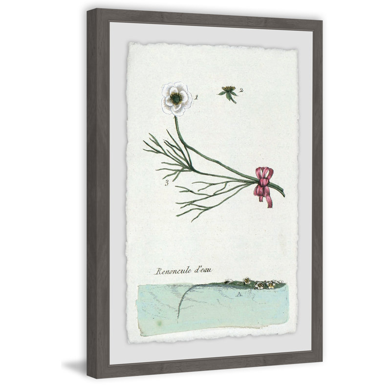 Renoncule Deau - Single Picture Frame Painting, 46 cm H x 30 cm W