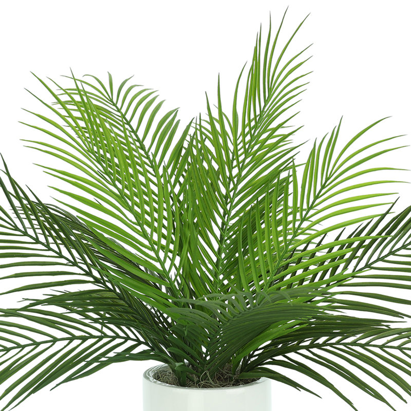 Outdoor UV Rated Palm in Fiberstone Pot
