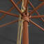 Aslyn Market Parasol-611379965-640435625