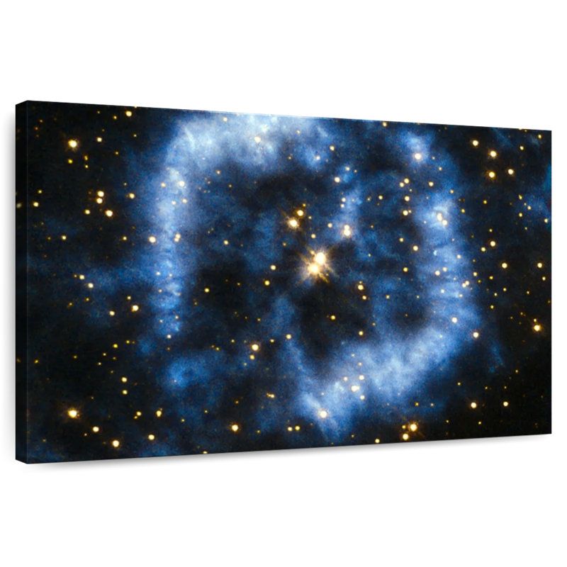 Oberle Menzel 2 étoiles brillante, H 20 po x l 30 po