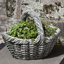 Handmade Planter