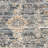 Oriental Indoor Rug-529142814