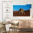Crowle Desert Leopard-111830480
