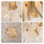 Plafonnier encastré 5 lumières en verre transparent champagne brossé 20 po Frieda Modern
