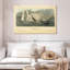 Cygne Brampt-107860283