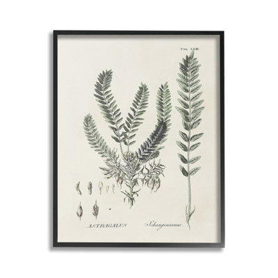 ForestLeavesDiagramGicleeArtbyMartini