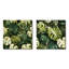 Liloh - Ensemble de 2 collages carrés tropicaux-101862206-101862200