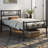 Graceful Scroll Platform Bed with Multiple Size and Color-2103365496-2086413079